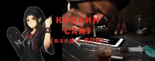 амф Ветлуга