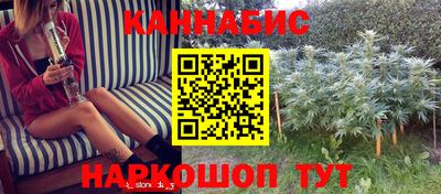 соль ск Бийск