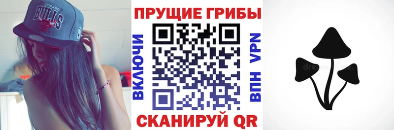 Псилоцибиновые грибы мухоморы  Куйбышев 