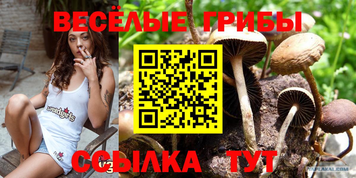 Псилоцибиновые грибы ЛСД  Вход с VPN  Куйбышев 