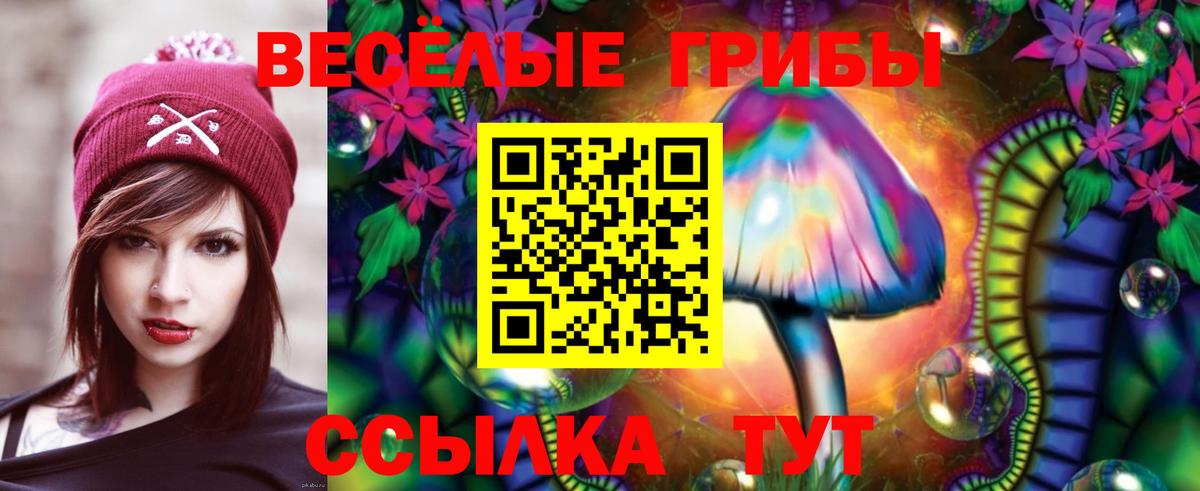 Галлюциногенные грибы Psilocybine cubensis Куйбышев