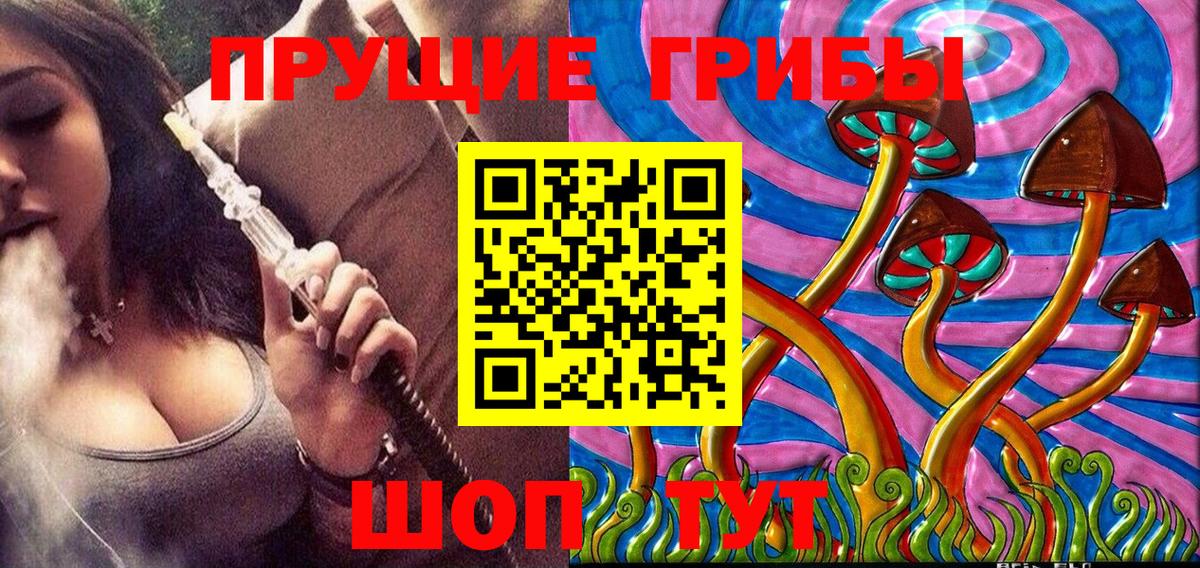 Галлюциногенные грибы GOLDEN TEACHER  Куйбышев  Псилоцибиновые грибы Psilocybine cubensis 