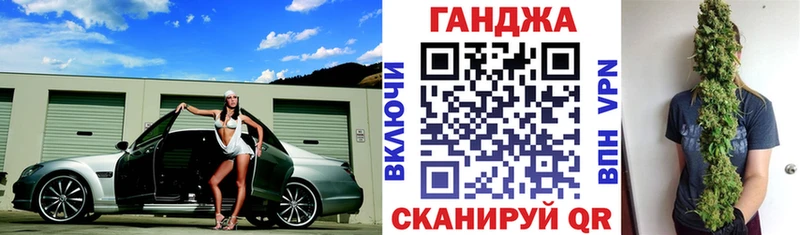 Конопля сатива  Куйбышев 